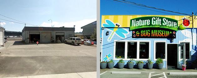 Bremerton Bug Museum – Bremerton, WA, before and after redevelopment